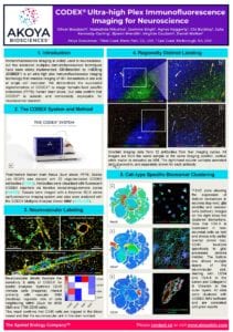 Download Poster: CODEX Ultra-High Plex Immunofluorescence Imaging for Neuroscience