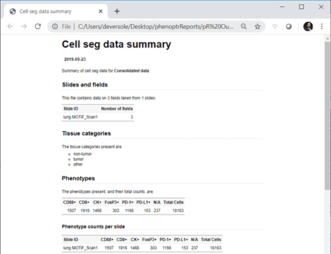 Shareable Reports with Audit Trails