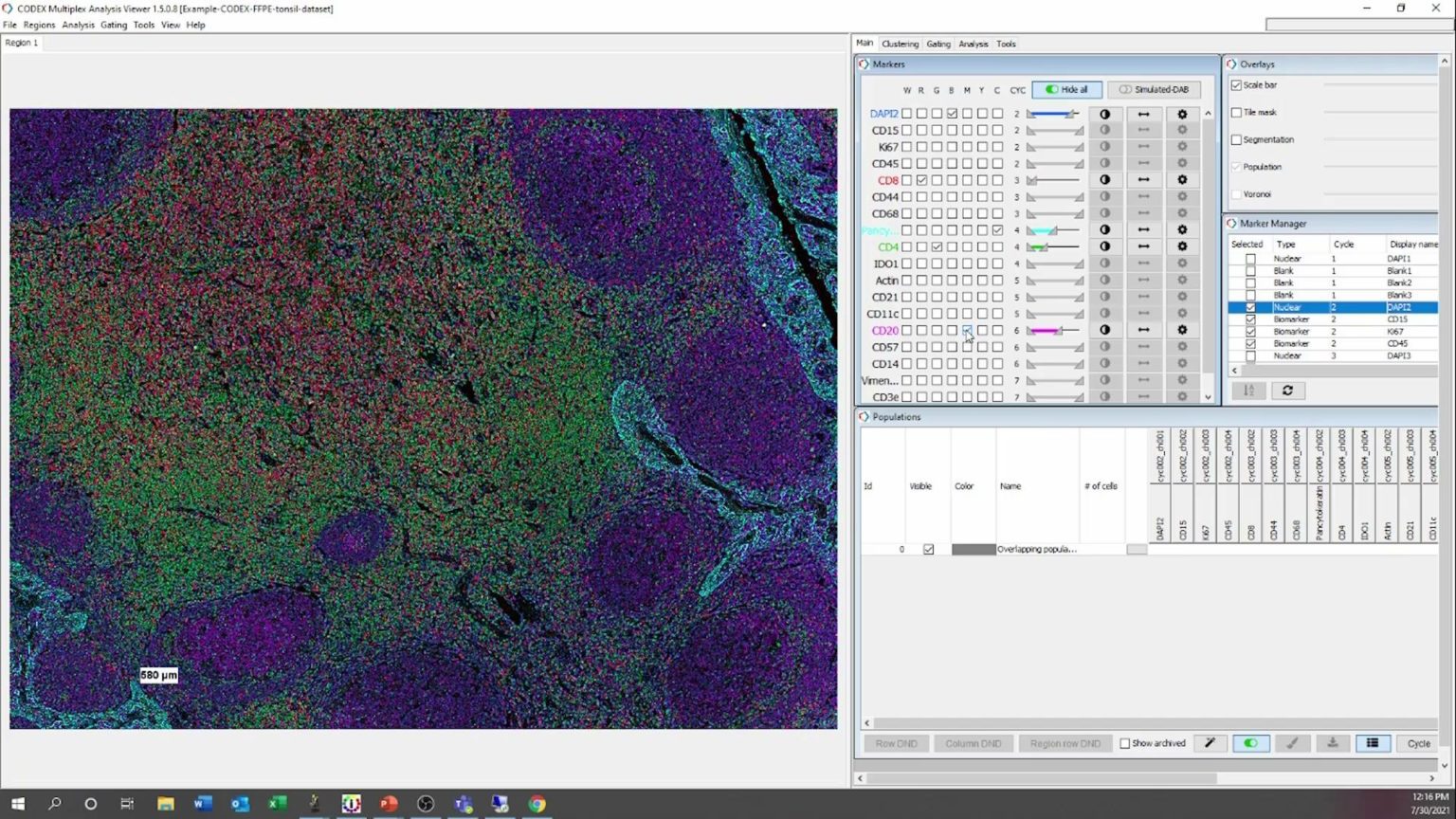 Spatial Analysis with Seurat: Unlocking Single-Cell Insights from CODEX Data - Akoya