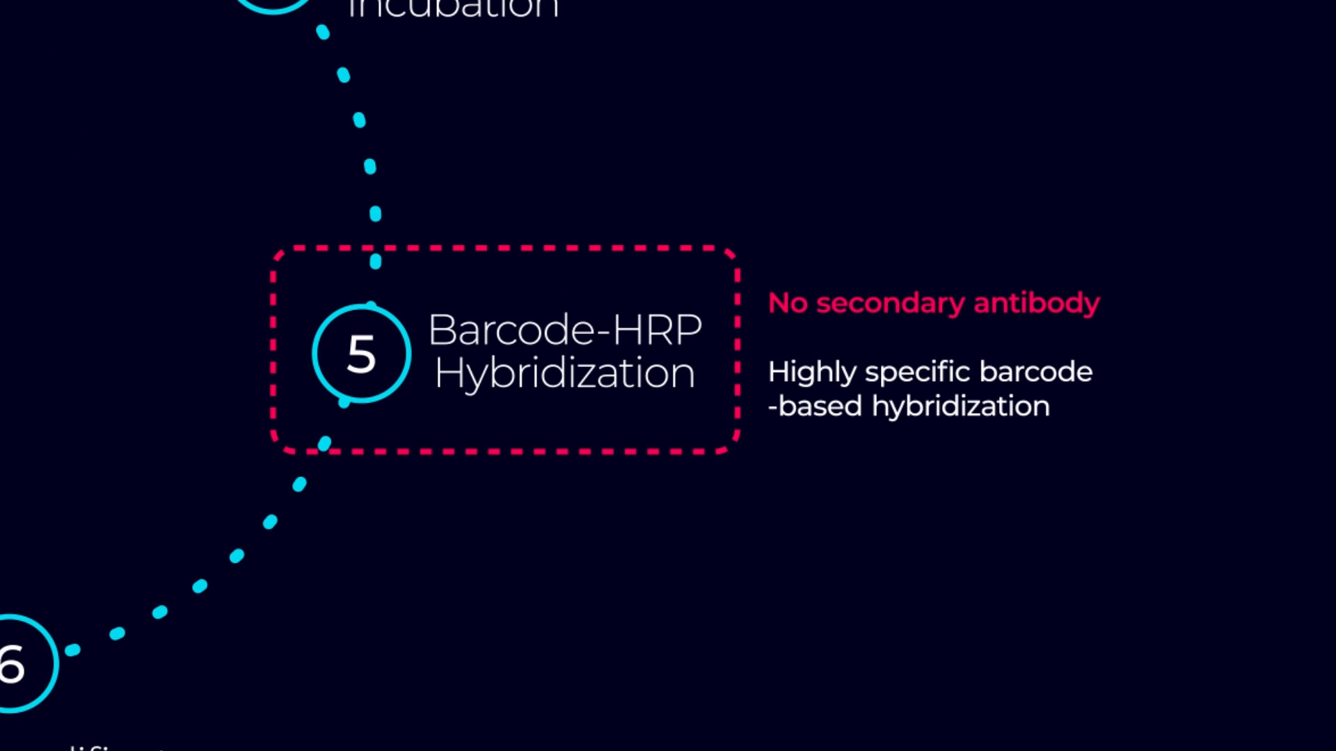 PhenoImager assay workflow 1