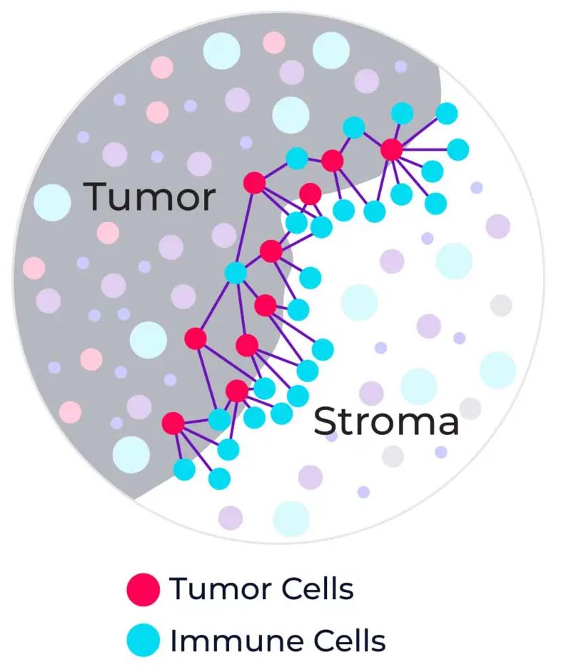 Figure2a 879x1024 @2x image