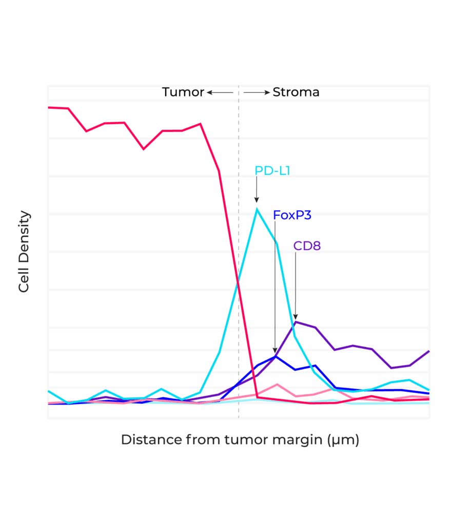 Figure2b@2x 879x102 image