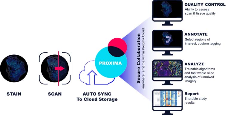 Proxima workflow