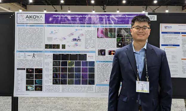 SFN poster