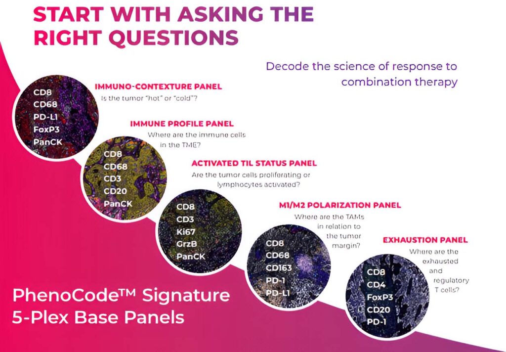 Signature panels enhanced image @2x