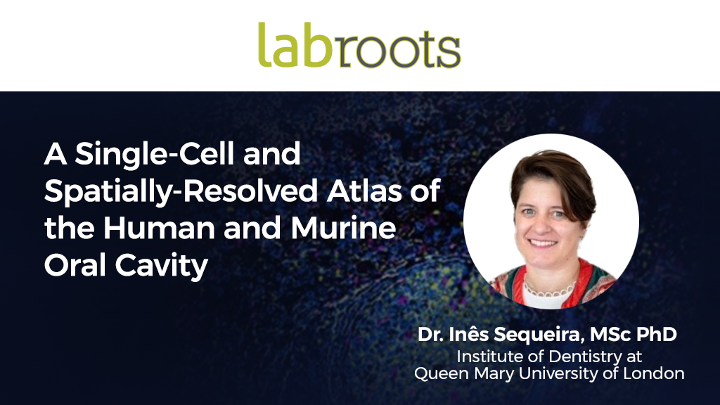 Webinar A Single Cell and Spatially Resolved Atlas of the Human and Murine Oral Cavity