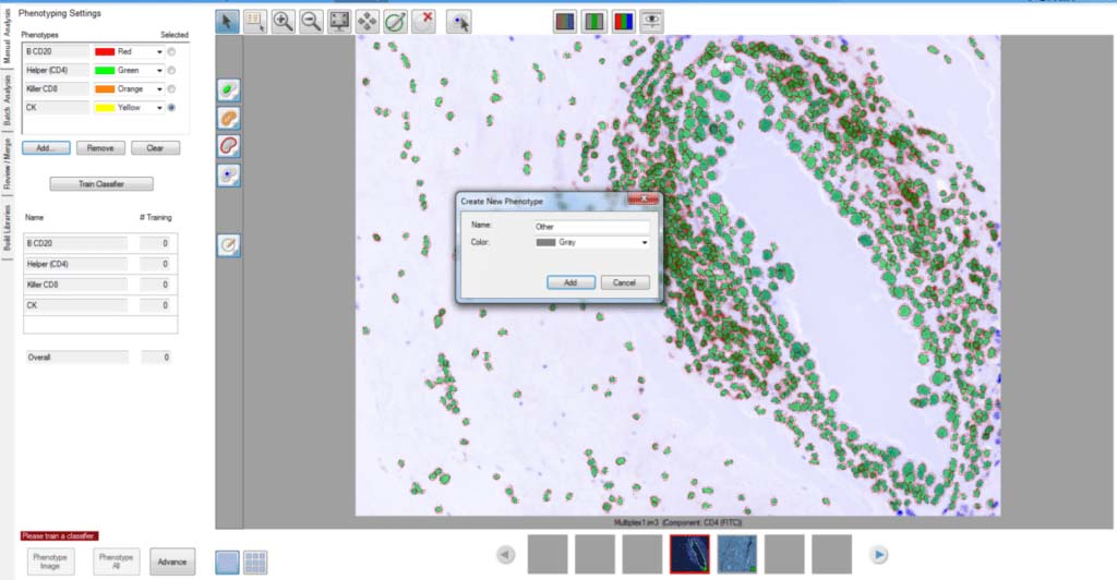 inform create new phenotype image