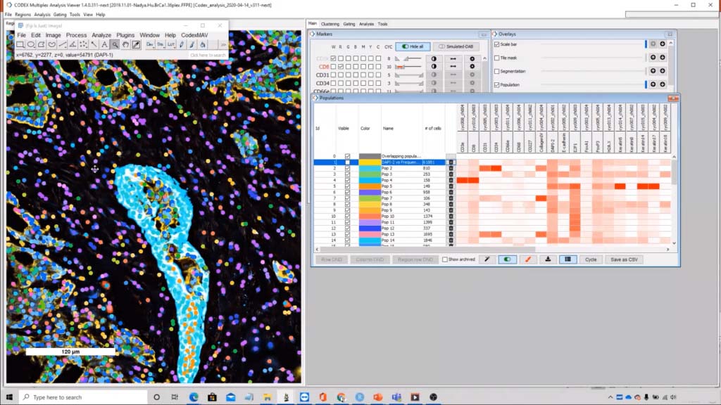 mav clusters visualized tissue 1024x576